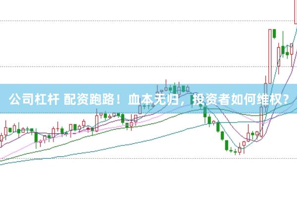 公司杠杆 配资跑路！血本无归，投资者如何维权？