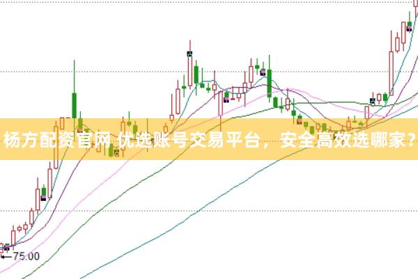 杨方配资官网 优选账号交易平台，安全高效选哪家？