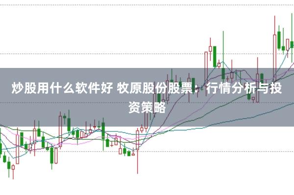 炒股用什么软件好 牧原股份股票：行情分析与投资策略