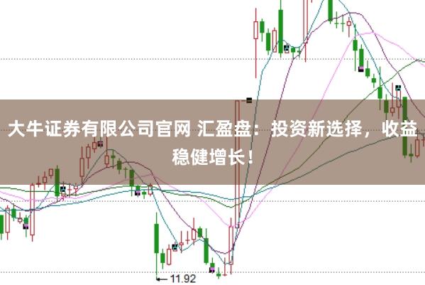 大牛证券有限公司官网 汇盈盘：投资新选择，收益稳健增长！