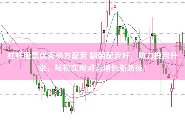 杠杆股票优秀杨方配资 翻翻配资好，助力投资升级，轻松实现财富增长新路径！