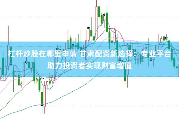 杠杆炒股在哪里申请 甘肃配资新选择：专业平台助力投资者实现财富增值