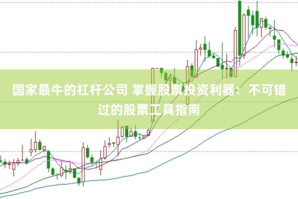 国家最牛的杠杆公司 掌握股票投资利器：不可错过的股票工具指南