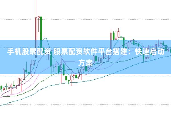手机股票配资 股票配资软件平台搭建：快速启动方案