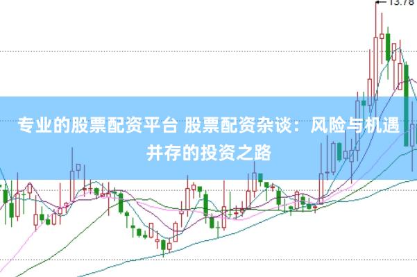 专业的股票配资平台 股票配资杂谈：风险与机遇并存的投资之路
