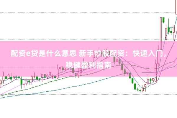 配资e贷是什么意思 新手炒股配资：快速入门，稳健盈利指南