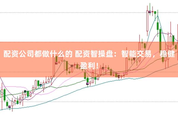 配资公司都做什么的 配资智操盘：智能交易，稳健盈利！