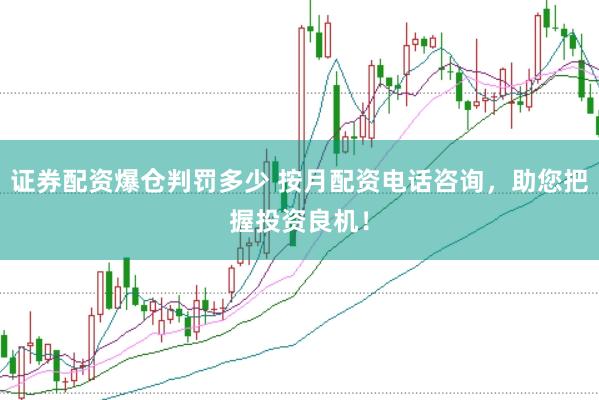 证券配资爆仓判罚多少 按月配资电话咨询，助您把握投资良机！