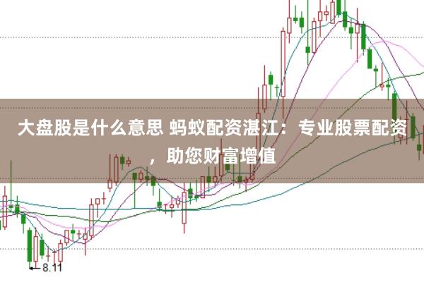 大盘股是什么意思 蚂蚁配资湛江：专业股票配资，助您财富增值