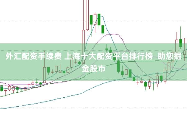 外汇配资手续费 上海十大配资平台排行榜  助您掘金股市