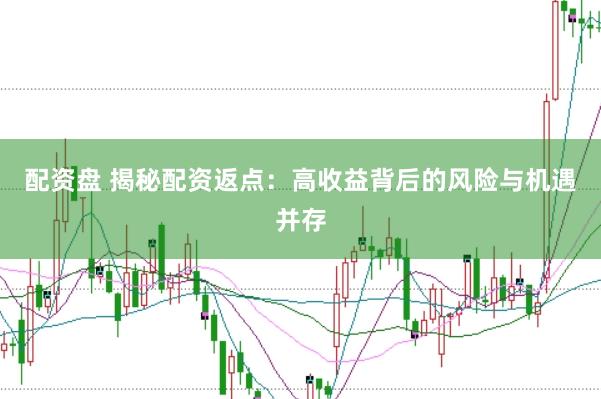 配资盘 揭秘配资返点：高收益背后的风险与机遇并存