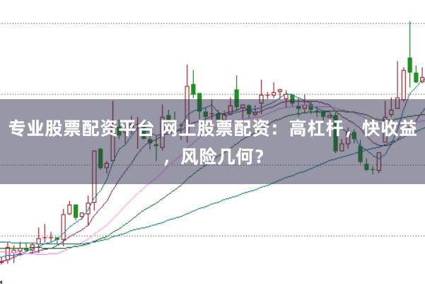 专业股票配资平台 网上股票配资：高杠杆，快收益，风险几何？