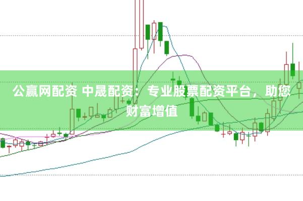 公赢网配资 中晟配资：专业股票配资平台，助您财富增值