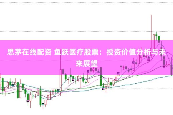 思茅在线配资 鱼跃医疗股票：投资价值分析与未来展望