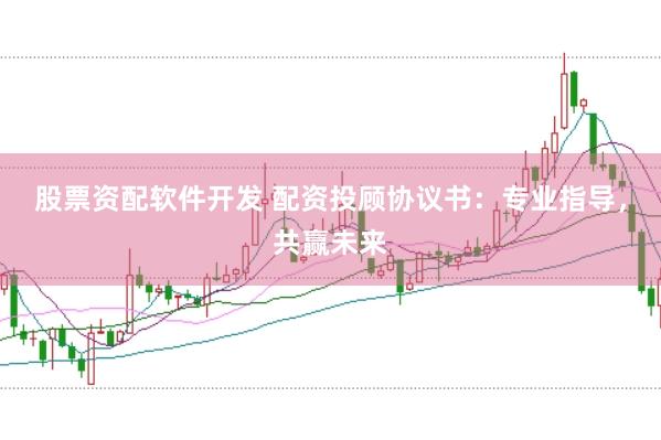 股票资配软件开发 配资投顾协议书:专业指导,共赢未来