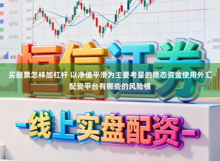 买股票怎样加杠杆 以净值平滑为主要考量的稳态资金使用外汇配资平台有哪些的风险模