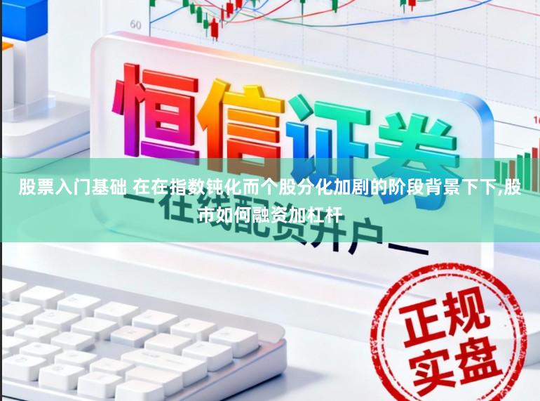 股票入门基础 在在指数钝化而个股分化加剧的阶段背景下下，股市如何融资加杠杆