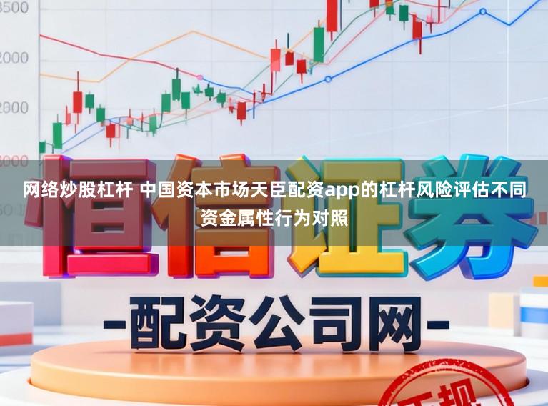 网络炒股杠杆 中国资本市场天臣配资app的杠杆风险评估不同资金属性行为对照